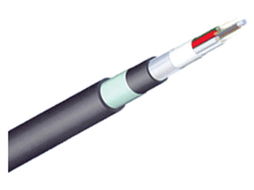 Winfiber 12芯室外鎧裝多模光纜 WF GYTA53 12A1a 層絞式結(jié)構(gòu)在嚴(yán)苛環(huán)境下的光纖網(wǎng)絡(luò)解析